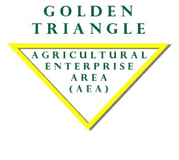 Golden Triangle