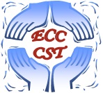 CST Logo